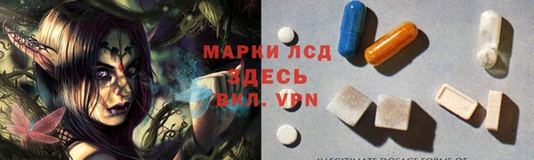 индика Мегион