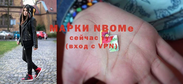 индика Мегион