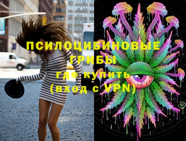ПСИЛОЦИБИНОВЫЕ ГРИБЫ Медногорск