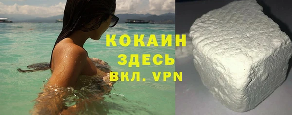 индика Мегион