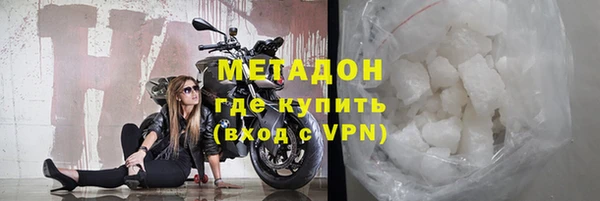 индика Мегион