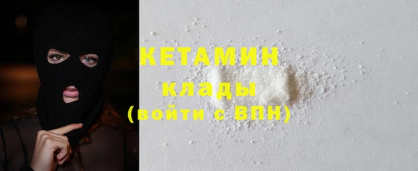 индика Мегион
