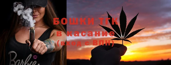 индика Мегион