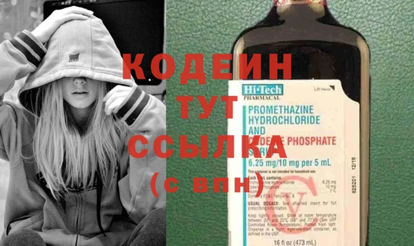 индика Мегион