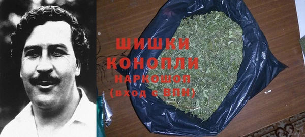 индика Мегион