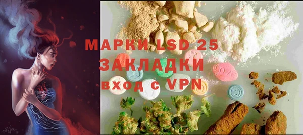 индика Мегион