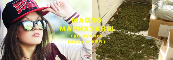 индика Мегион