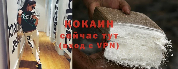 индика Мегион