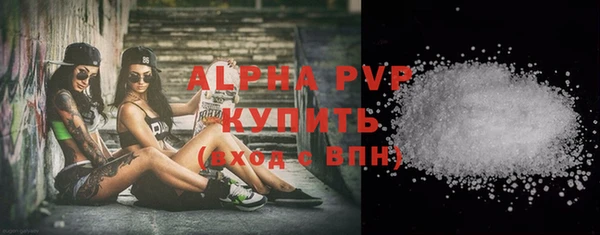 индика Мегион