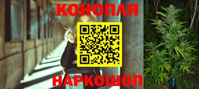 стафф Гагарин