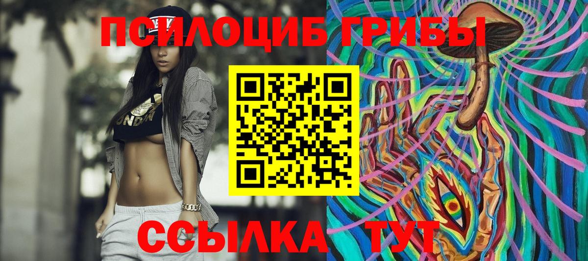 Псилоцибиновые грибы Psilocybe  Донской 