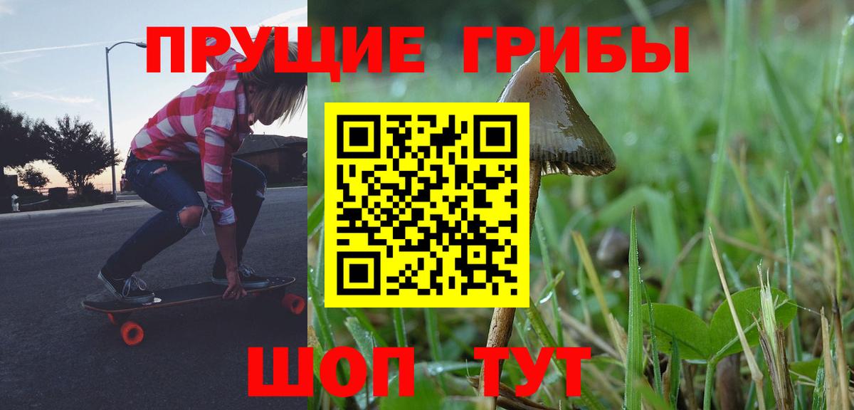 купить наркотики сайты  Галлюциногенные грибы мухоморы  Вход с VPN  Донской 