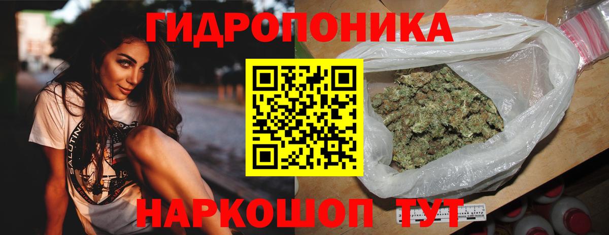 Марихуана гибрид  Донской  Бошки Шишки Amnesia 